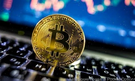 ЦРУ и биткоин как они связаны