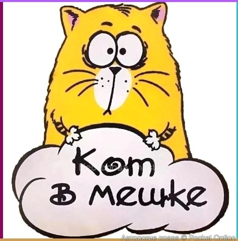 kotv