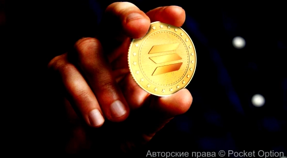 Солана12
