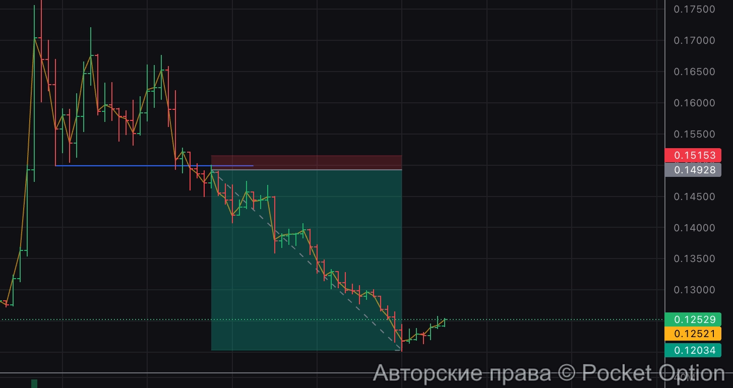 1 к 13