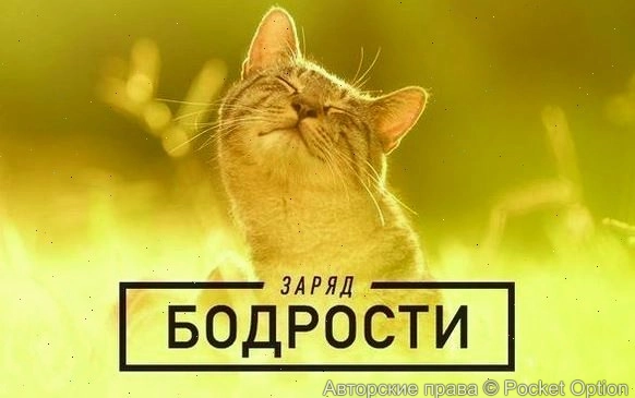 zaryad