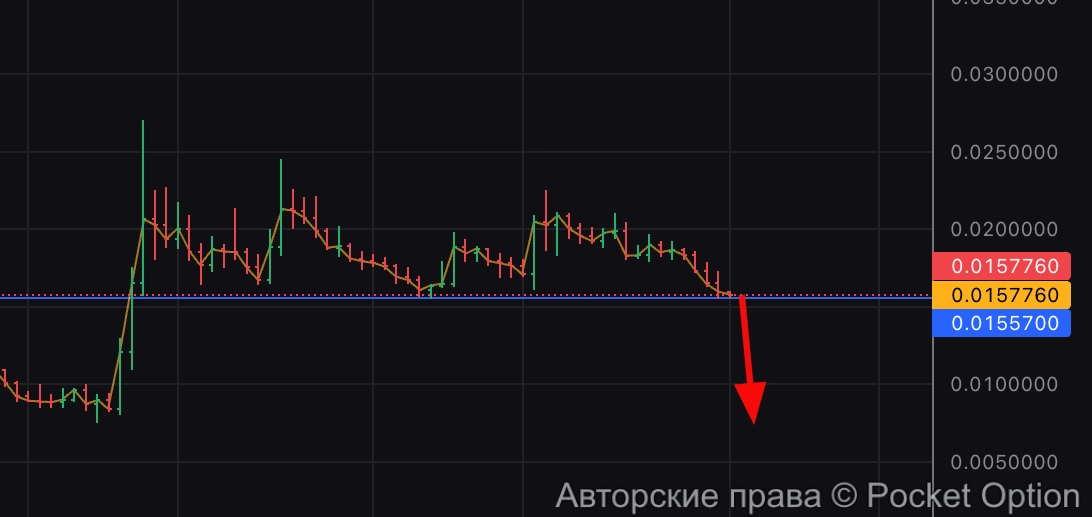 xcn дамп