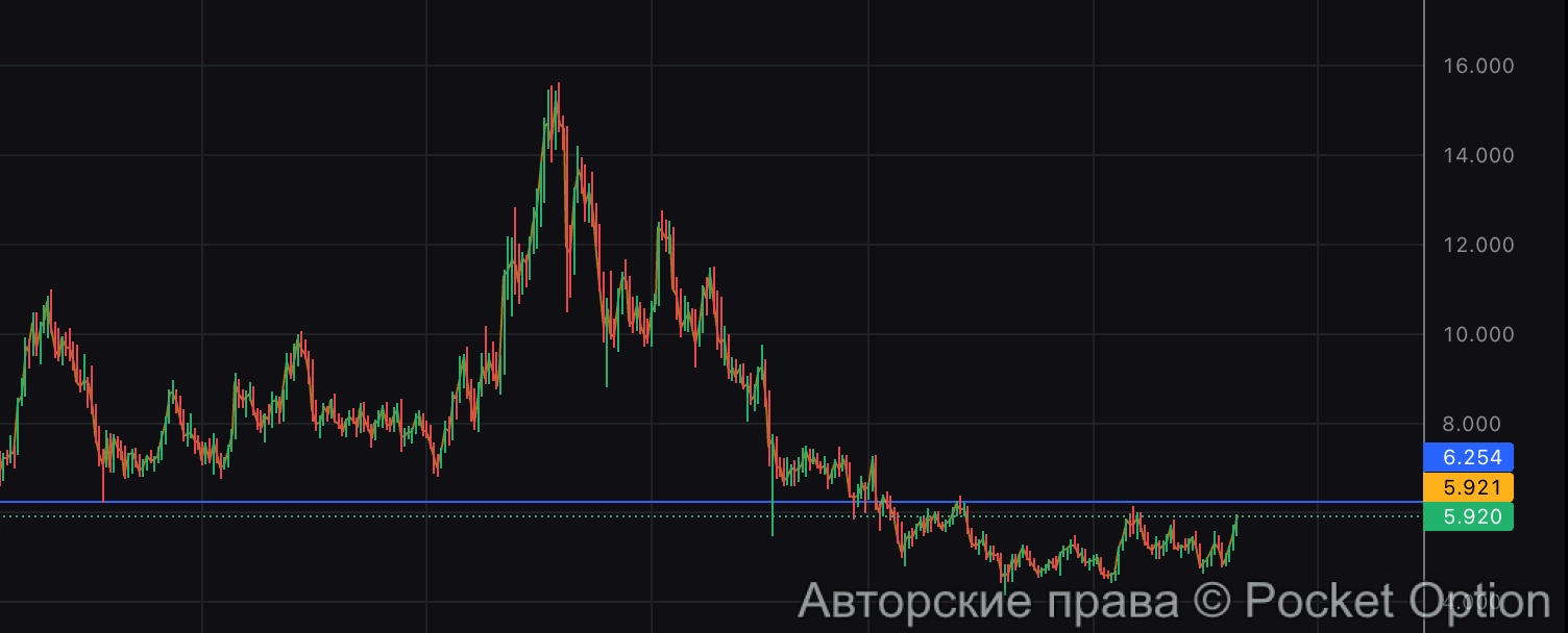 icp дневка