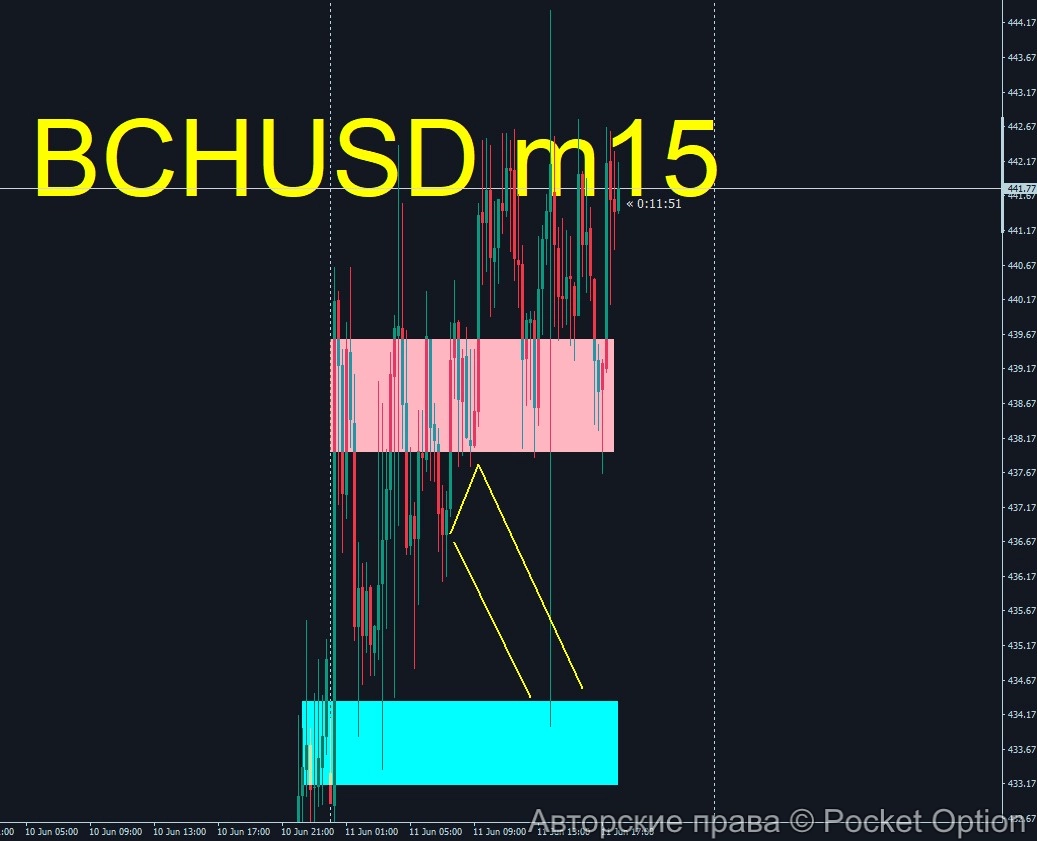 bch1_itog