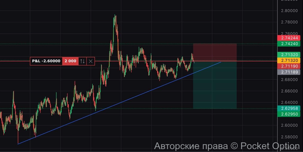 sui шорт