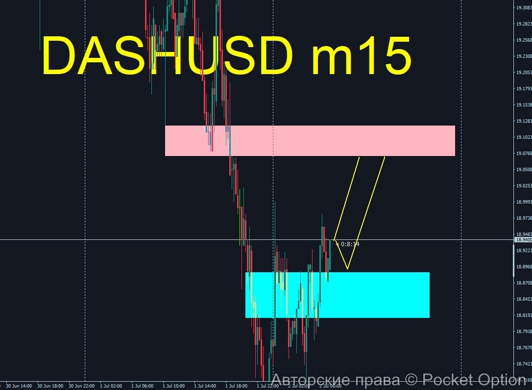 dash10