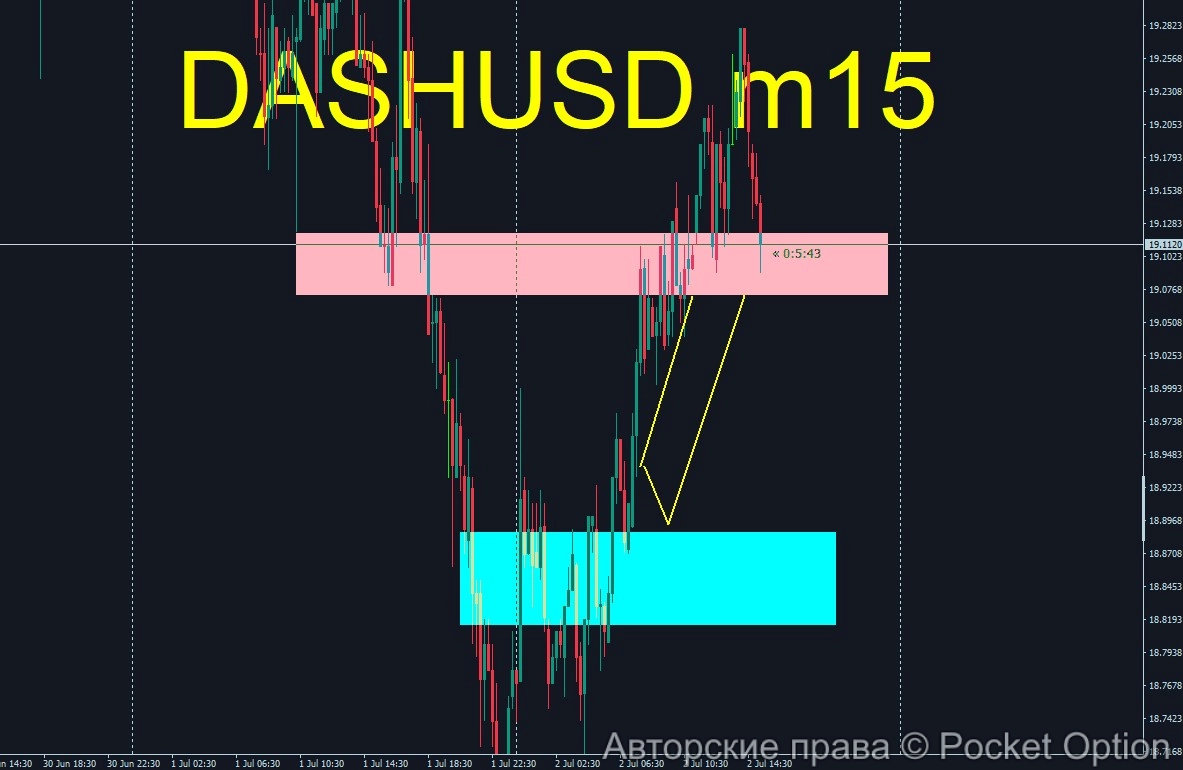 dash10_itog