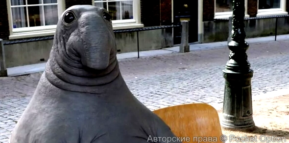 ждун