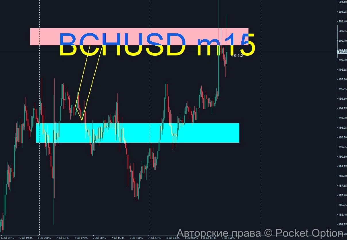 bch11_itog