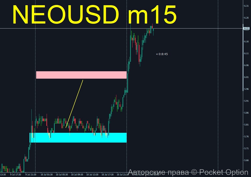 neo14_itog