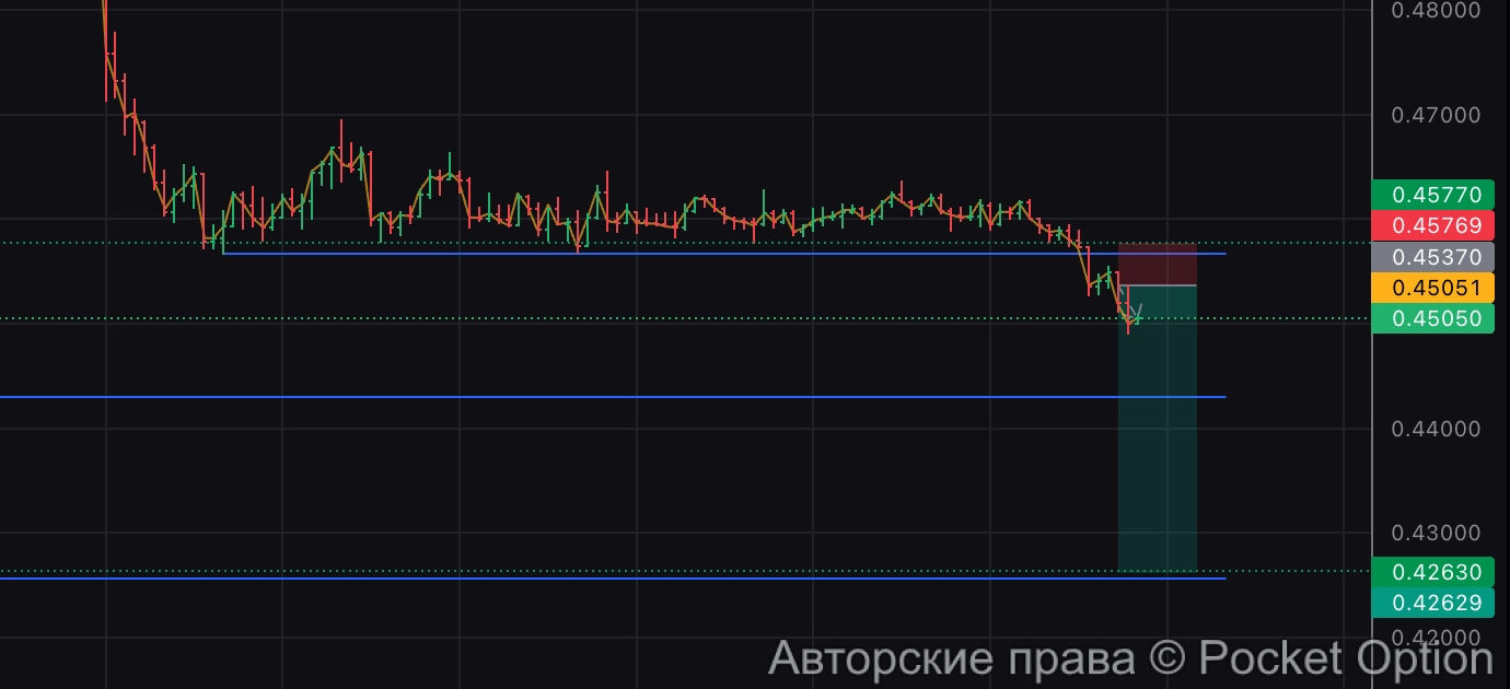 ARK шорт