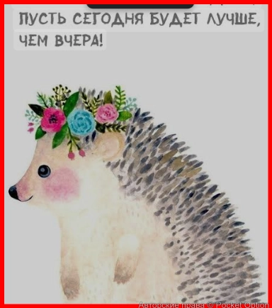 ежь