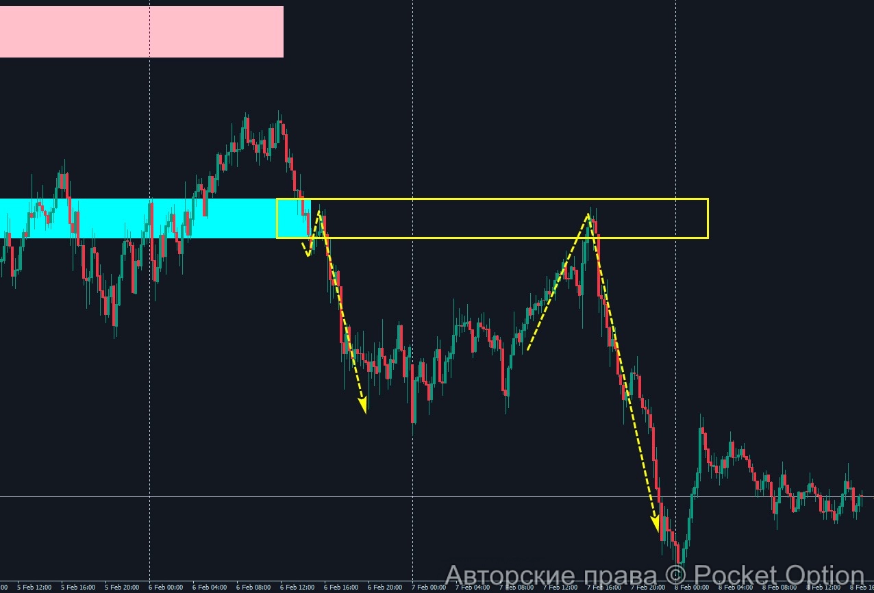 criptolevels