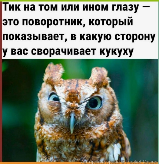 nerv_tik
