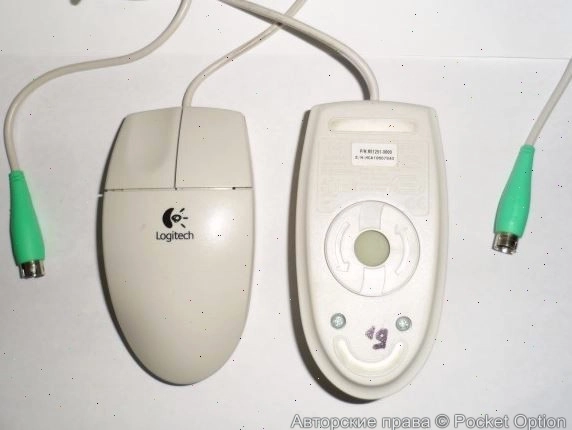 mouse2